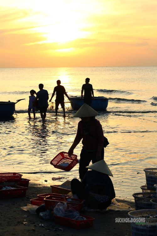 Bãi cá thức giấc bên mép sóng.