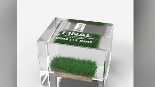 FIFA có kế hoạch bán cỏ từ trận chung kết World Cup với giá 450 USD. Ảnh: FIFA.