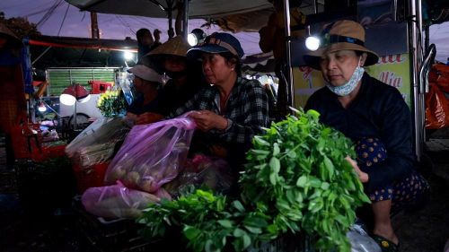 Những bó rau vừa thu hoạch còn đẫm hơi sương được người dân đưa đến chợ