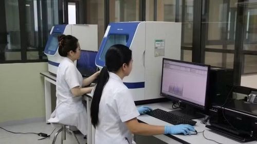Cán bộ, kỹ thuật viên Khoa Xét nghiệm sinh học, Viện Pháp y Quân đội thực hiện quy trình giám định ADN hài cốt liệt sĩ. (Ảnh: THẾ ĐẠI)