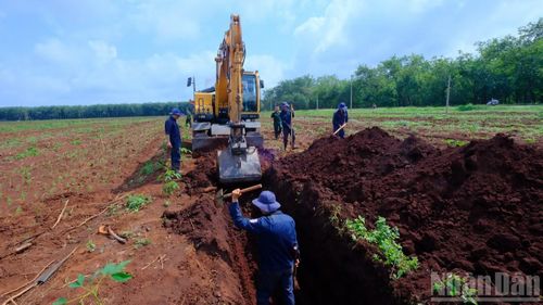 Cán bộ, chiến sĩ Đội K72 tiến hành đào đất tìm kiếm hài cốt liệt sĩ.