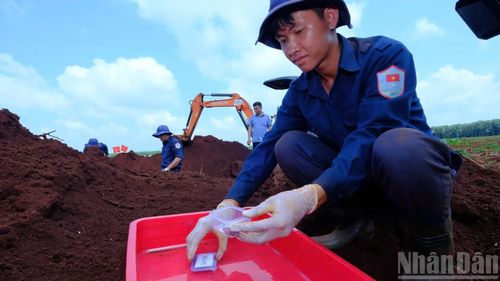Các mẫu di vật được bảo quản cẩn trọng.