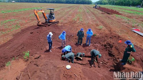 Qua tìm kiếm sáng 19/7, lực lượng chức năng phát hiện thêm một bộ nghi là hài cốt liệt sĩ còn nguyên hình dạng bọc tăng và có dây dù cột.