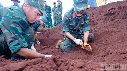 Việc tìm kiếm được thực hiện tỉ mỉ.
