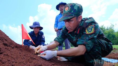 Việc tìm kiếm rất tỉ mỉ, bảo đảm không bỏ sót bất cứ mẫu xương nào.