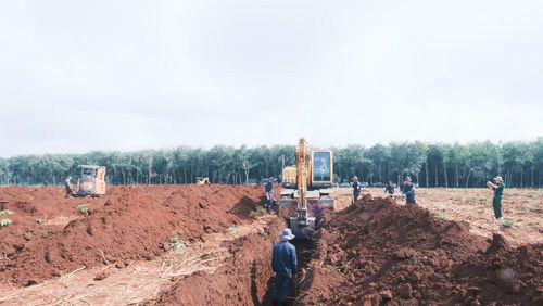 Công tác tìm kiếm hài cốt liệt sĩ tại khu vực xã Minh Đức, thành phố Đồng Nai được triển khai liên tục, không có ngày nghỉ.