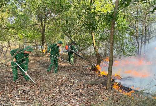 Cán bộ, chiến sĩ Đồn Biên phòng Lý Hòa và Tiểu đoàn Huấn luyện-Cơ động 1 tham gia chữa cháy rừng tại xã Bắc Trạch (Quảng Trị). Ảnh do đơn vị cung cấp 