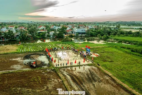 Đảo Hà Nam (TX Quảng Yên cũ) là vùng đất phù sa cổ có gần 40 km đê biển bao trọn, với trên 6 vạn dân, chia làm 2 phường hành chính (phường Phong Cốc và Liên Hòa, sáp nhập từ 2 phường và 4 xã trước kia).