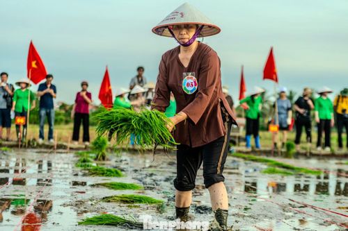 Bà Lê Thị Sáu (54 tuổi, đội cấy phường Phong Cốc) cho biết trước đó bà được tuyển chọn và luyện tập thêm để đảm bảo thể hiện cấy đúng kỹ năng, kỹ thuật và tinh thần thi đua sản xuất của cư dân nông nghiệp truyền thống.