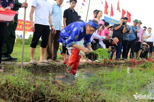 Sau khi làm lễ, chủ tế sẽ là người đầu tiên cấy những cây mạ xuống ruộng, chính thức bắt đầu vụ mùa mới