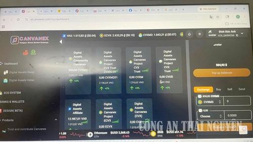 Giao diện Trang web http://id.canvanex.com. Ảnh: Công an tỉnh Thái Nguyên.