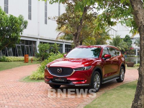 Mazda CX-8 tiếp tục giữ vị trí thứ hai trong nhóm SUV 7 chỗ với doanh số lũy kế 1.781 xe. Ảnh: BNEWS/TTXVN phát