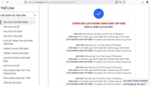 Tổng công ty Điện lực miền Nam (EVNSPC) thông báo có lịch cắt điện ở Đồng Nai trong ngày 20/7, cập nhật lúc 12h32 ngày 19/7. Ảnh: BNEWS/TTXVN phát
