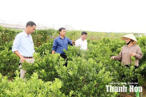 Cán bộ xã và thôn Ấp Trú thăm mô hình phát triển kinh tế của người dân.