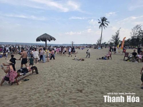 Dịp hè năm nay, lượng khách về với biển Hoằng Thanh tăng rõ rệt.