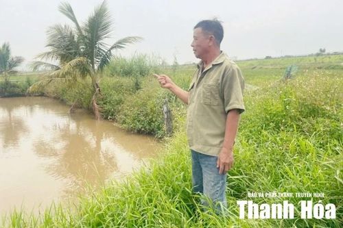 CCB Đỗ Huy Sơn bên ao nuôi ba ba.