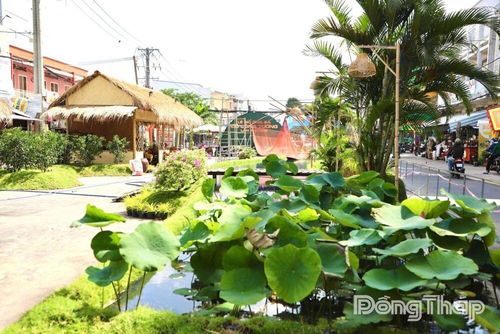 Không gian Tiểu cảnh góp phần quảng bá văn hóa Đồng Tháp.