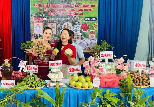  Phiên livestream do Mặt trận và các hội, đoàn thể xã Ia Pa tổ chức nhằm giới thiệu, quảng bá các sản phẩm OCOP và nông sản đặc trưng của địa phương. Ảnh: Vũ Chi 