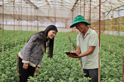 Chương trình mục tiêu quốc gia Xây dựng NTM đang góp phần thay đổi mạnh mẽ tại khu vực nông thôn, góp phần nâng cao chất lượng cuộc sống người dân