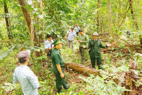 Cự chiến binh Nguyễn Hữu Hiền (người dang tay) trong ngày trở lại thăm vị trí đóng quân đầu tiên của Đồn Biên phòng Đắk Đam giai đoạn 1975 - 1989