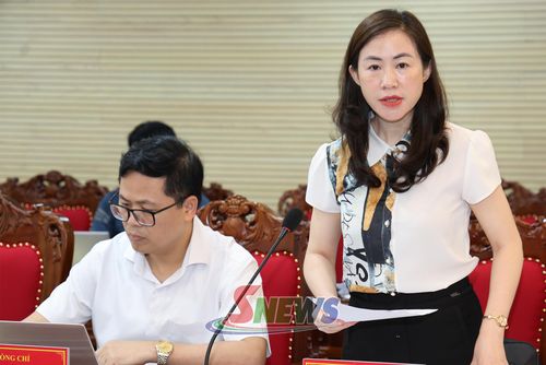 Đồng chí Trưởng ban Pháp chế phát biểu tại Phiên họp.