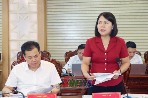 Đồng chí Trưởng Ban Văn hóa Xã hội phát biểu tại Phiêp họp.