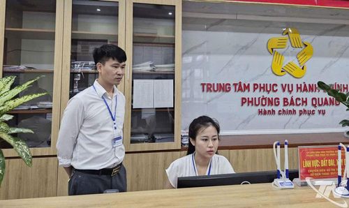 Phó Chủ tịch UBND phường Bách Quang Trịnh Văn Quân bám sát lĩnh vực được phân công phụ trách.
