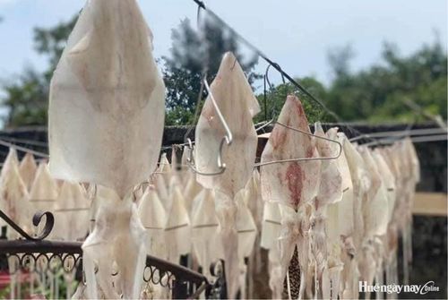 Mực phơi khô có giá trị cao hơn.
