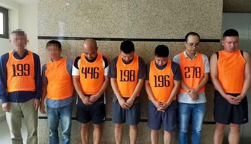 Nguyễn Sơn Tùng và các đối tượng khác trong chuyên án bị bắt giữ.