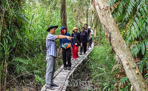 Du khách theo chân người thợ lấy mật ong len lỏi giữa những cánh rừng tràm xanh mát của Ðiểm Du lịch cộng đồng Mười Ngọt.