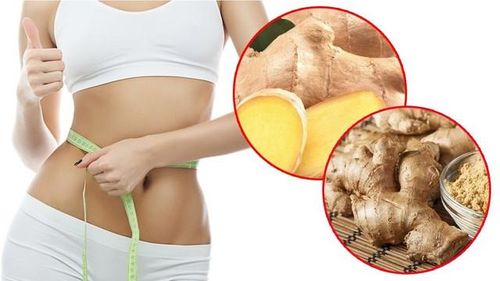Rượu gừng được xem là phương thuốc có khả năng giảm đau, đốt cháy mỡ thừa trên cơ thể rất hiệu quả.