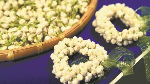 Bông hoa nhỏ làm nên ngành công nghiệp tiền tỷ cho Trung Quốc. Ảnh: China Daily