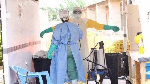 Nhân viên y tế thực hiện khử trùng tại trung tâm điều trị Ebola ở tỉnh Ituri, Cộng hòa Dân chủ Congo. (Ảnh: THX/TTXVN)