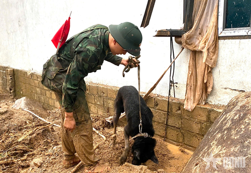 Chó nghiệp vụ đánh hơi từng ngóc ngách. 