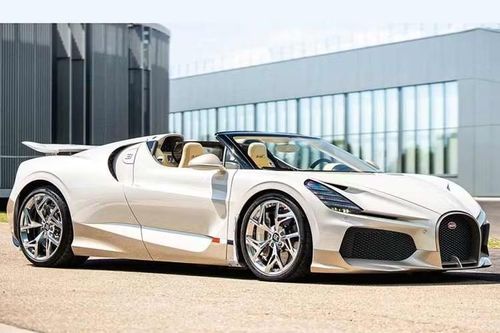 Khối động cơ W16 lần đầu xuất hiện trên Bugatti Veyron vào năm 2005 và sau đó tiếp tục được trang bị trên nhiều mẫu xe nổi tiếng như Chiron, Divo, Centodieci và Mistral. Ngoài các mẫu xe thương mại, động cơ này cũng được sử dụng trên Bolide - mẫu hypercar chỉ dành cho đường đua với số lượng giới hạn 40 chiếc. Toàn bộ xe Bolide đã được hoàn thành vào cuối năm 2025.