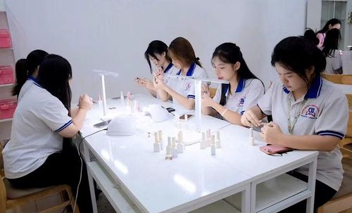 Toàn tỉnh Hưng Yên hiện có 48 cơ sở GDNN.