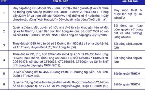 Danh sách tài sản bảo đảm vụ Vạn Thịnh Phát của Ngân hàng SCB (ảnh: N.M).