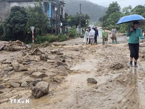 Các phương tiện máy móc tập trung san gạt cây cối, đất đá góp phần thông đường tạm thời cho nhân dân đi lại. (Ảnh: Quý Trung/TTXVN)