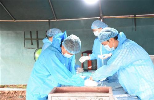 Cán bộ y tế tổ chức lấy mẫu AND tại Nghĩa trang liệt sỹ Bình Phước.