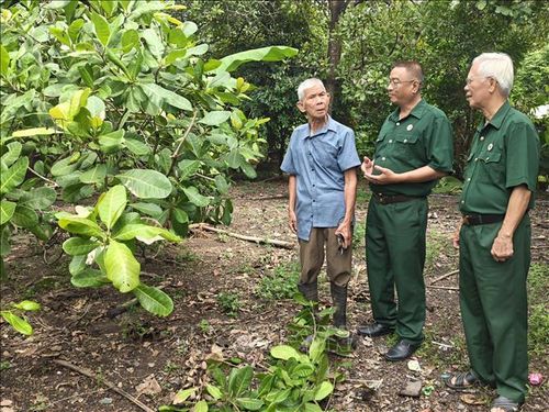 Anh hùng Lực lượng Vũ trang Nhân dân Dương Đức Thùng (bên trái) ở phường Đồng Xoài đã đầu tư trồng hơn 4,2ha cao su, điều phát triển kinh tế bền vững.