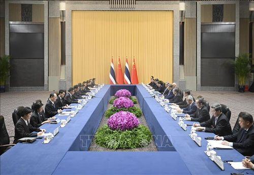 Chủ tịch Trung Quốc Tập Cận Bình và Thủ tướng Thái Lan Anutin Charnvirakul tại cuộc hội đàm ở Thượng Hải ngày 17/7/2026. Ảnh: THX/TTXVN phát