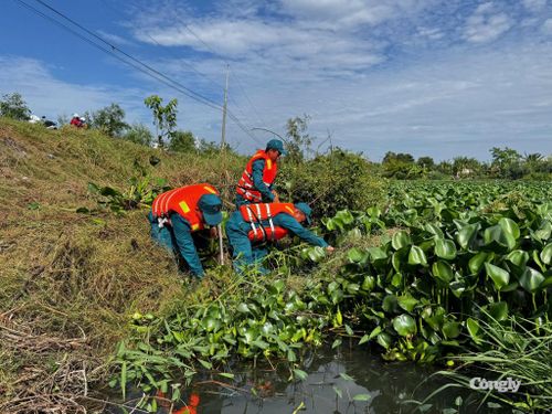 Các lực lượng vớt lục bình, khơi thông dòng chảy tại xã Bình Hòa.