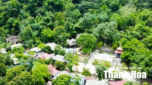 ... để bản làng hòa vào màu xanh ngút ngàn của cây lá.