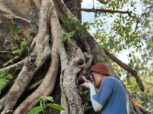  Vẻ đẹp của ngôi làng thu hút khách du lịch và những người yêu nhiếp ảnh: Ảnh: Hoàng Ngọc 