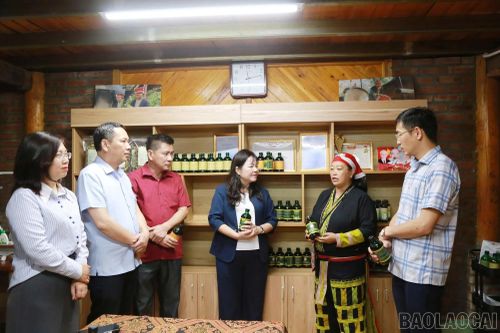 Đồng chí Hoàng Thị Thanh Bình - Phó Chủ tịch HĐND tỉnh và lãnh đạo các Ban của HĐND tỉnh tìm hiểu thực tế tại Hợp tác xã Cộng đồng Dao đỏ xã Tả Phìn.