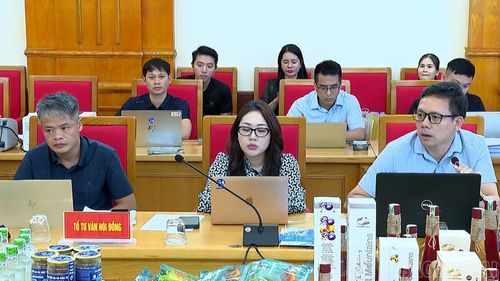 Tổ tư vấn Hội đồng đánh giá, phân hạng sản phẩm OCOP cấp tỉnh rà soát hồ sơ, tham mưu việc chấm điểm các sản phẩm.