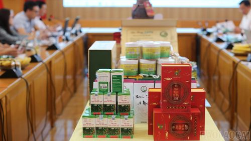 Các sản phẩm OCOP được trưng bày phục vụ Hội đồng đánh giá, phân hạng cấp tỉnh đợt 1 năm 2026.