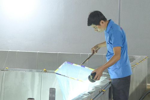 Sản xuất kinh doanh, doanh nghiệp hiệu quả đóng góp ngân sách. Ảnh Ngọc Hiển