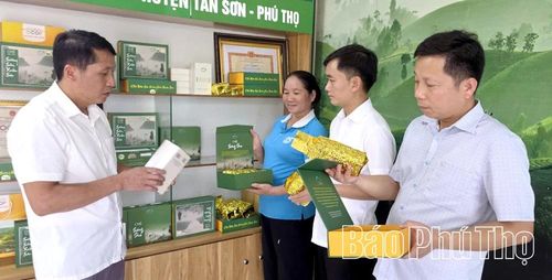 Cùng với chất lượng, mẫu mã, bao bì cao cấp của các sản phẩm chè đạt chứng nhận OCOP góp phần nâng cao giá trị thương hiệu và kinh tế.
