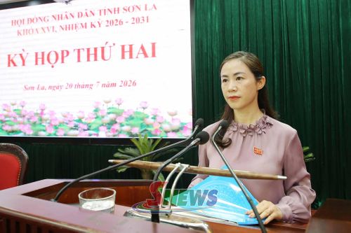 Lãnh đạo Ban Pháp chế HĐND tỉnh báo cáo kết quả thẩm tra các nội dung trình kỳ họp.
